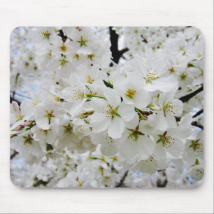 Cherry Blossoms 3 Mouse Pad