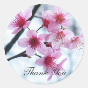 Cherry Blossoms - A Classic Round Sticker