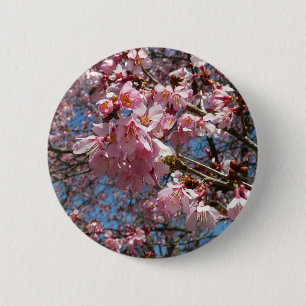 Cherry Blossoms and Bee Pink Spring Flowers 6 Cm Round Badge