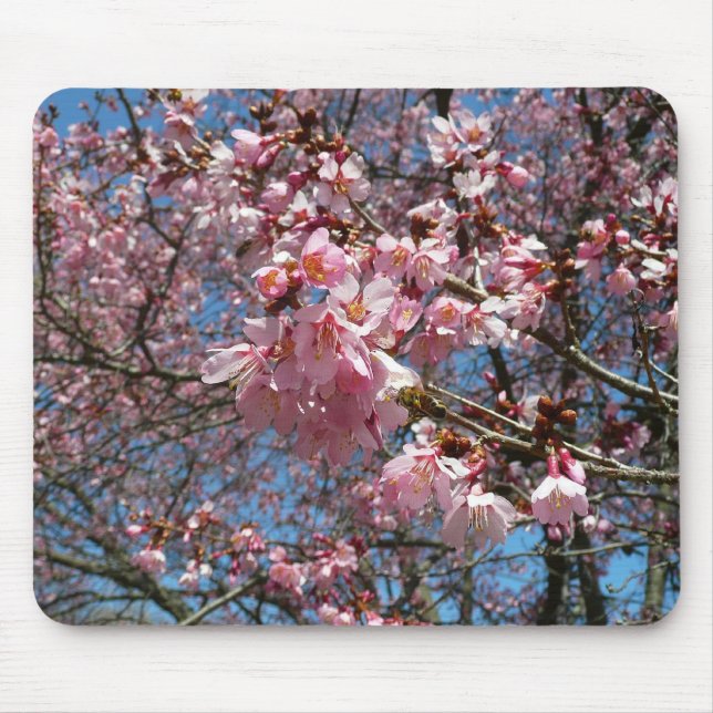 Cherry Blossoms and Bee Pink Spring Flowers Mouse Mat (Front)