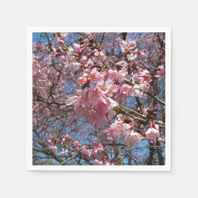 Cherry Blossoms and Bee Pink Spring Flowers Napkin (Front)