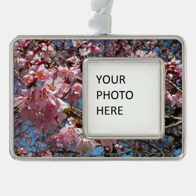 Cherry Blossoms and Bee Pink Spring Flowers Silver Plated Framed Ornament (Front)