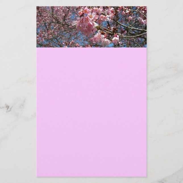Cherry Blossoms and Bee Pink Spring Flowers Stationery (Front)