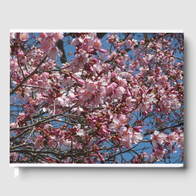 Cherry Blossoms and Blue Sky Spring Floral Guest Book (Front)