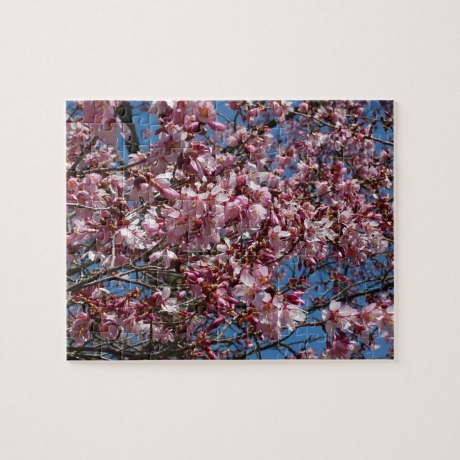 Cherry Blossoms and Blue Sky Spring Floral Jigsaw Puzzle (Horizontal)