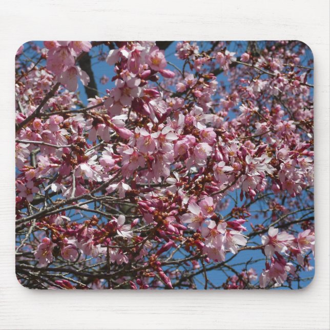 Cherry Blossoms and Blue Sky Spring Floral Mouse Mat (Front)
