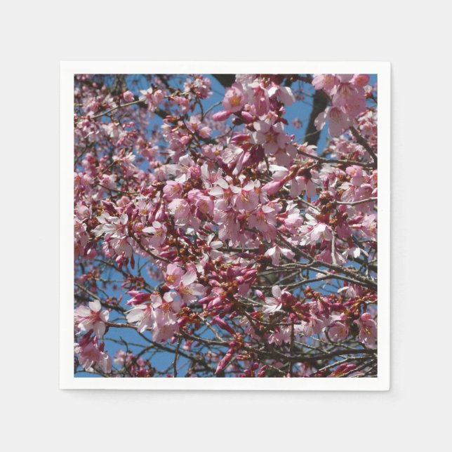 Cherry Blossoms and Blue Sky Spring Floral Napkin (Front)