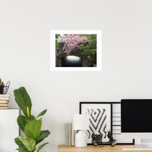 Cherry Blossoms and Stone Bridge Photo Poster