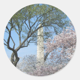 Cherry Blossoms and the Washington Monument in DC Classic Round Sticker