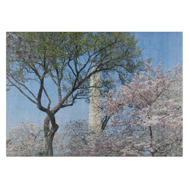 Cherry Blossoms and the Washington Monument in DC Cutting Board (Front)