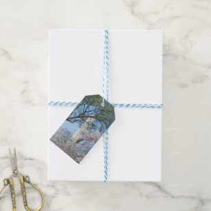 Cherry Blossoms and the Washington Monument in DC Gift Tags