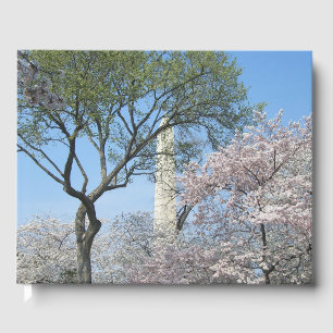 Cherry Blossoms and the Washington Monument in DC Guest Book