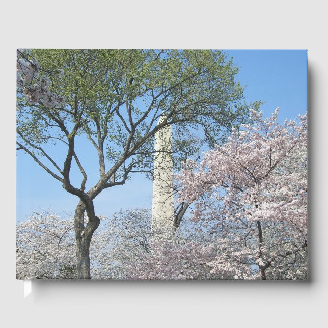 Cherry Blossoms and the Washington Monument in DC Guest Book (Front)
