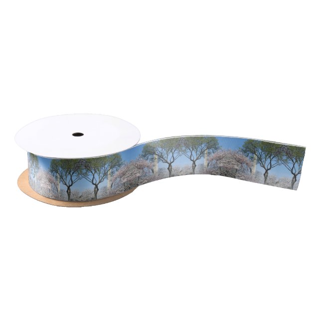 Cherry Blossoms and the Washington Monument in DC Satin Ribbon (Spool)