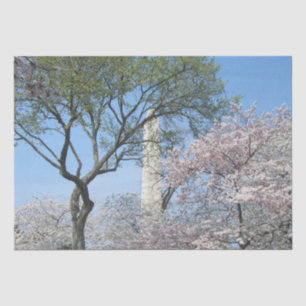 Cherry Blossoms and the Washington Monument in DC Tissue Paper