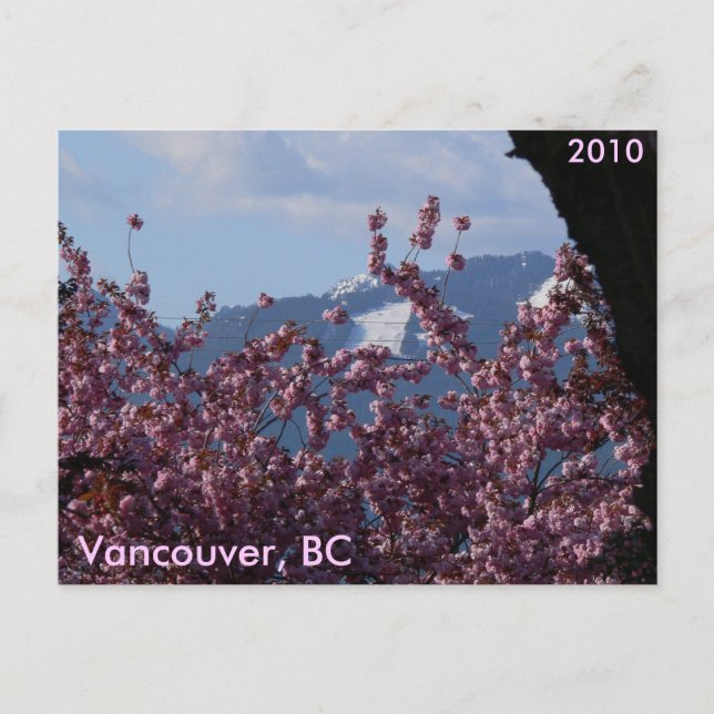 Cherry Blossoms and Winter Olympics Postcard (Front)