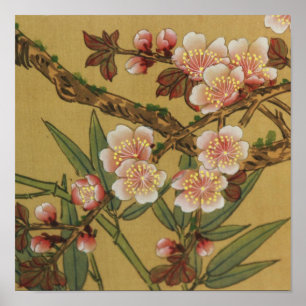 Cherry Blossoms Asian Japanese Art Poster
