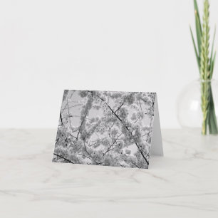 'Cherry Blossoms' B&W Blank Note Card