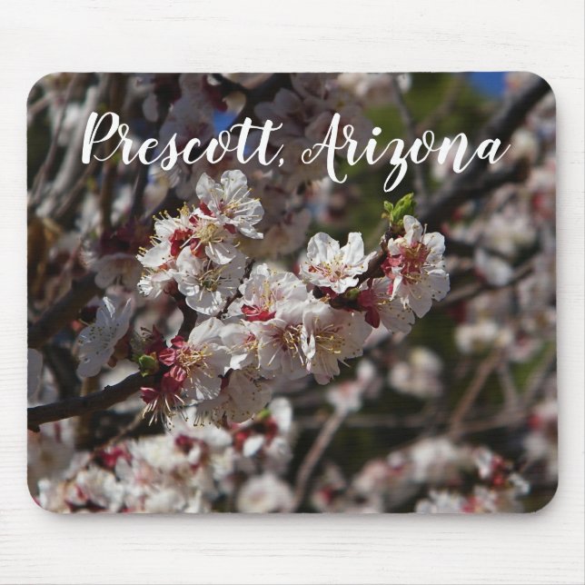 Cherry Blossoms blooming in Prescott,Arizona Mouse Mat (Front)