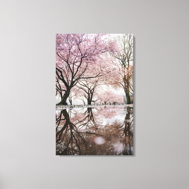 Cherry Blossoms Canvas Print (Front)