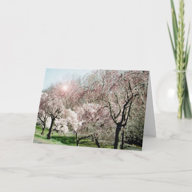 Cherry Blossoms Card (Front)