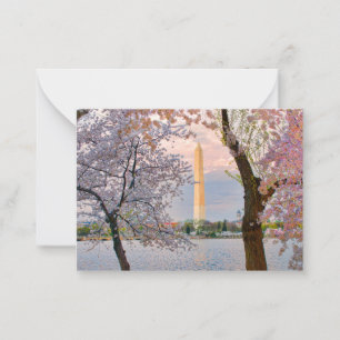 Cherry Blossoms Card