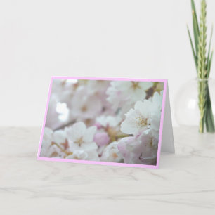 Cherry Blossoms Card White Blossom Card