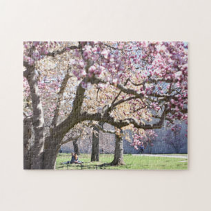 Cherry Blossoms Central Park New York City NYC Jigsaw Puzzle