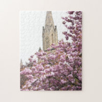 Cherry Blossoms Church Steeple Islington London UK