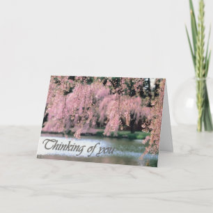 Cherry Blossoms Condolence Card