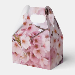 Cherry Blossoms Favour Box