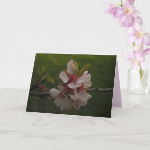 Cherry Blossoms Floral Blank Folded Greeting Card