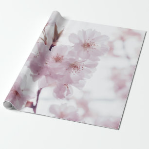 CHERRY BLOSSOMS FLOWERS WRAPPING PAPER