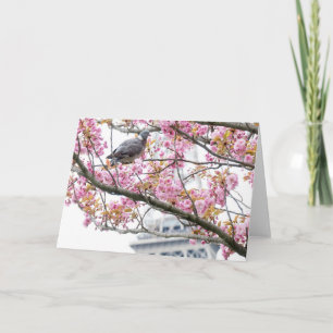 Cherry Blossoms Folded Blank Greeting Card