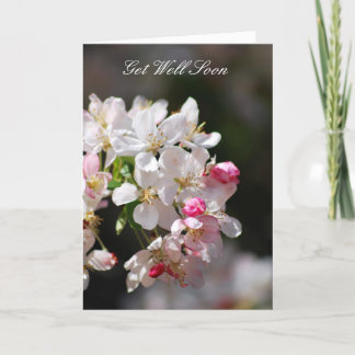 Cherry blossoms Get Well Soon Card