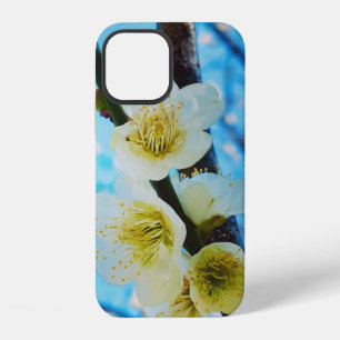 Cherry Blossoms Gift Box Case-Mate iPhone Case