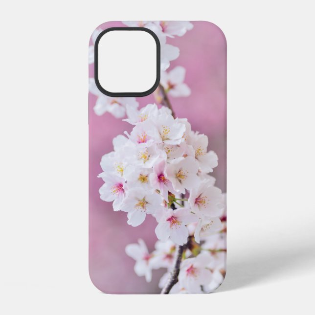 Cherry Blossoms Gift Box Case-Mate iPhone Case (Back)