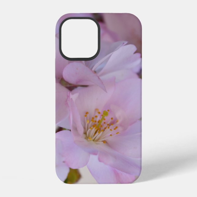 Cherry Blossoms Gift Box Case-Mate iPhone Case (Back)