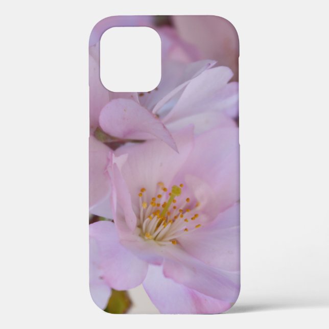 Cherry Blossoms Gift Box Case-Mate iPhone Case (Back)