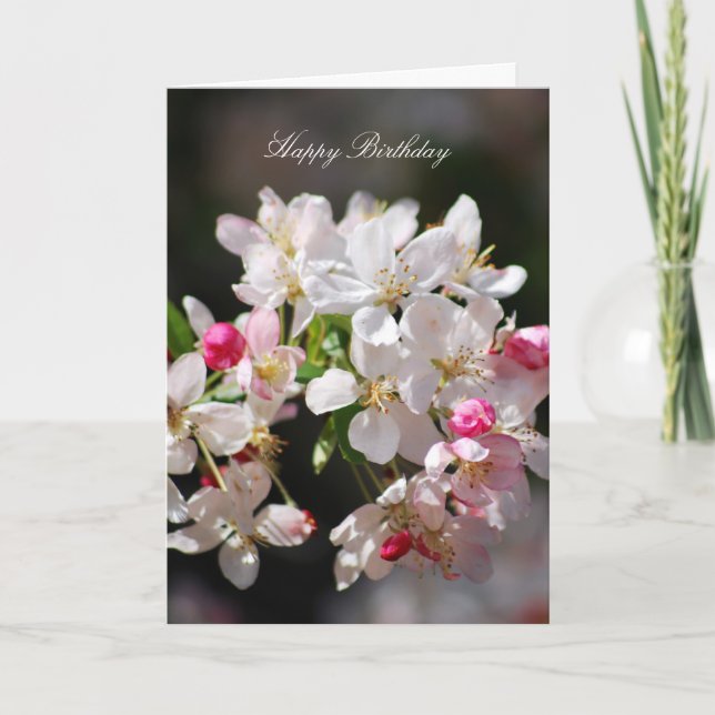 Cherry blossoms happy birthday card (Front)