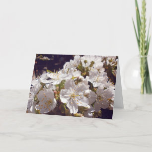 Cherry blossoms. Happy Easter. Holiday Card