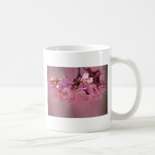 Cherry Blossoms Hot Spring 2012 Apparel & Gifts Coffee Mug