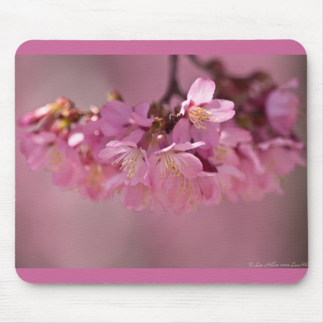 Cherry Blossoms Hot Spring  2012 Apparel  & Gifts Mouse Mat (Front)