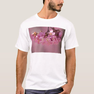 Cherry Blossoms Hot Spring 2012 Apparel & Gifts T-Shirt