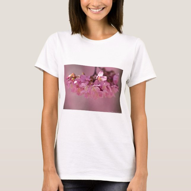 Cherry Blossoms Hot Spring  2012 Apparel  & Gifts T-Shirt (Front)