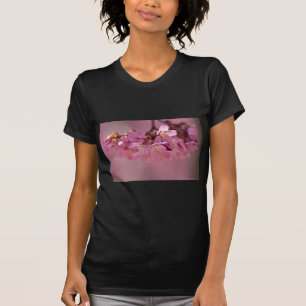 Cherry Blossoms Hot Spring 2012 Apparel & Gifts T-Shirt