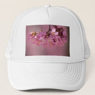 Cherry Blossoms Hot Spring  2012 Apparel  & Gifts Trucker Hat