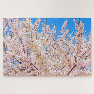Cherry Blossoms in Full Bloom Jigsaw Puzzle