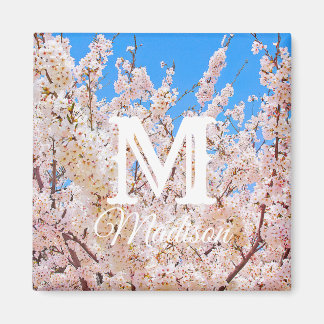 Cherry Blossoms in Full Bloom Magnet