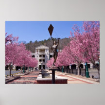 Cherry Blossoms in Hot Springs Arkansas Poster